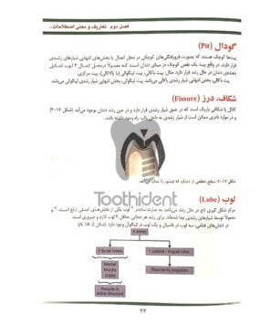 نمونه-صفحه-شناخت-آناتومی-و-مورفولوژی-دندان--3