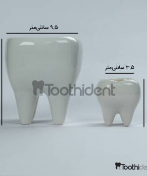 ابعاد-گلدان-دندانی
