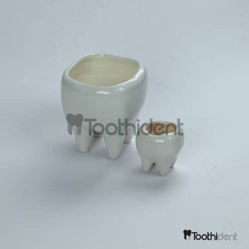 گلدان-دندانی