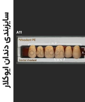 سایزبندی دندان مصنوعی ایوکلار