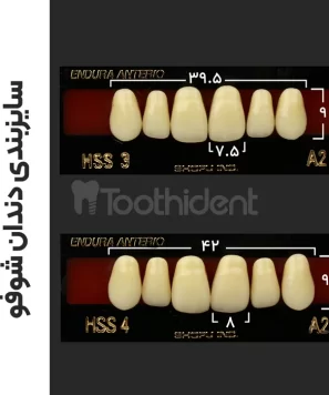 سایزبندی دندان مصنوعی شوفو
