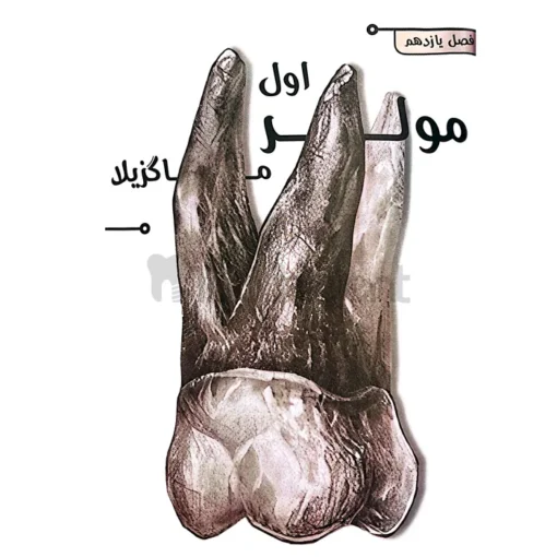 عکس گالری کتاب کالاباری4