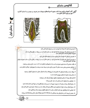 عکس گالری کتاب کالاباری1
